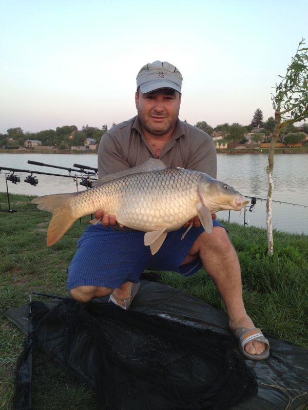 pestisori de aur - img-20130502-wa0001.jpg